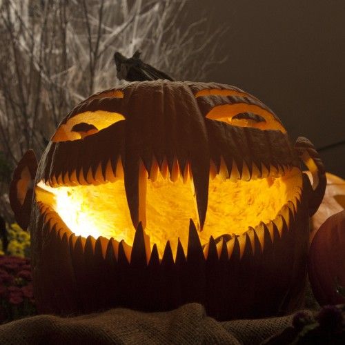 Extreme Pumpkins