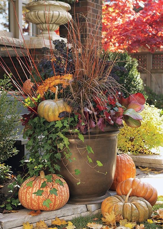 Fall Container Gardening Ideas !
