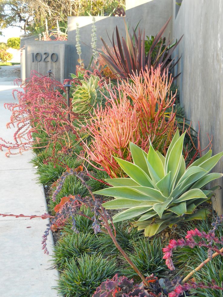 Modern Garden