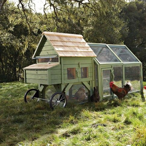 Chicken Coop