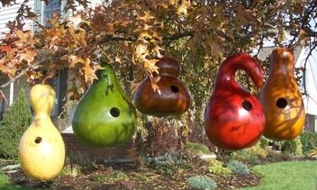 gourd birdhouse