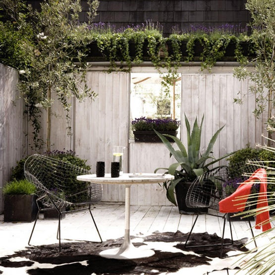 Wooden fenced courtyard garden with cool furniture