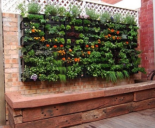 aquaponics, hydroponics and verticle gardening