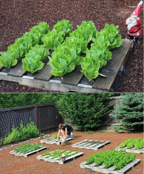 How to Turn a Pallet into a Garden