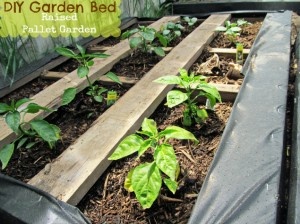 DIY Pallet Garden; How to make Raised Wood Pallet Garden Bed – Jade Louise Designs| A Family Lifestyle Blog