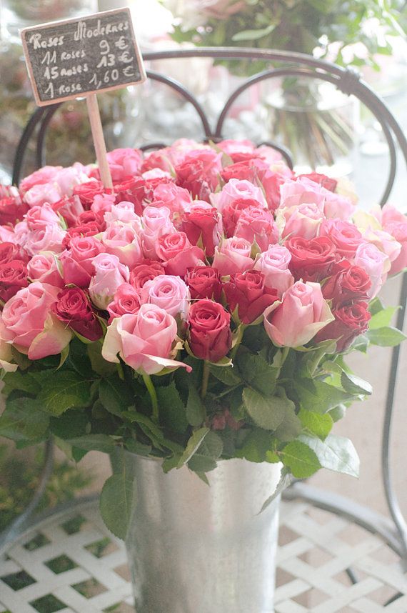 roses.