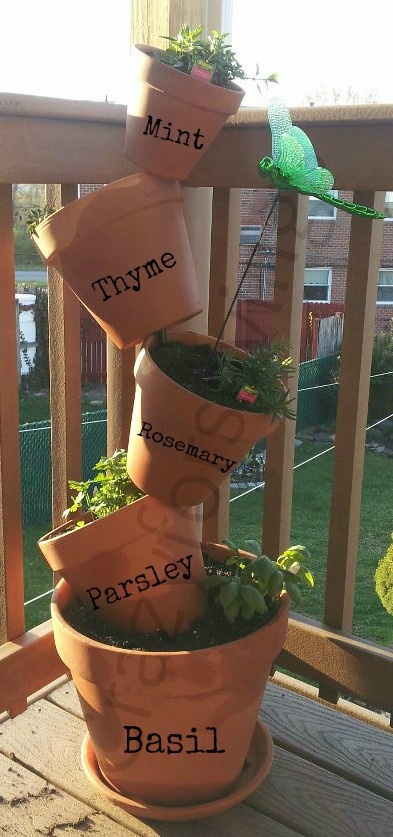 Gardening to repel bugs- I got my herbs to plant