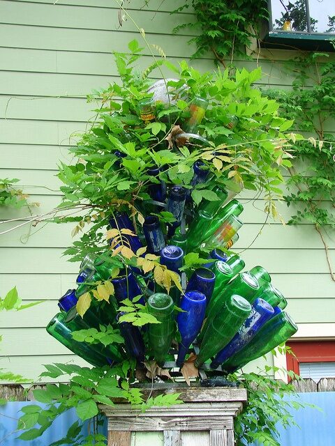 bottle tree with vine