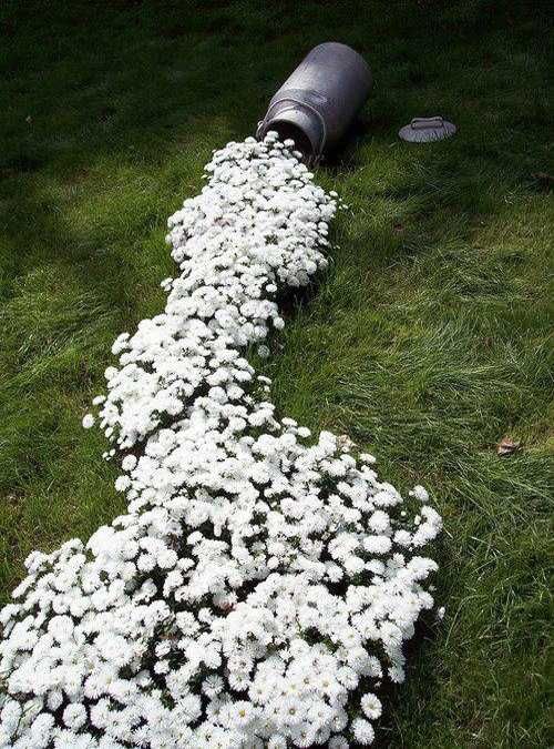 35 Creative Backyard Designs Adding Interest to Landscaping Ideas