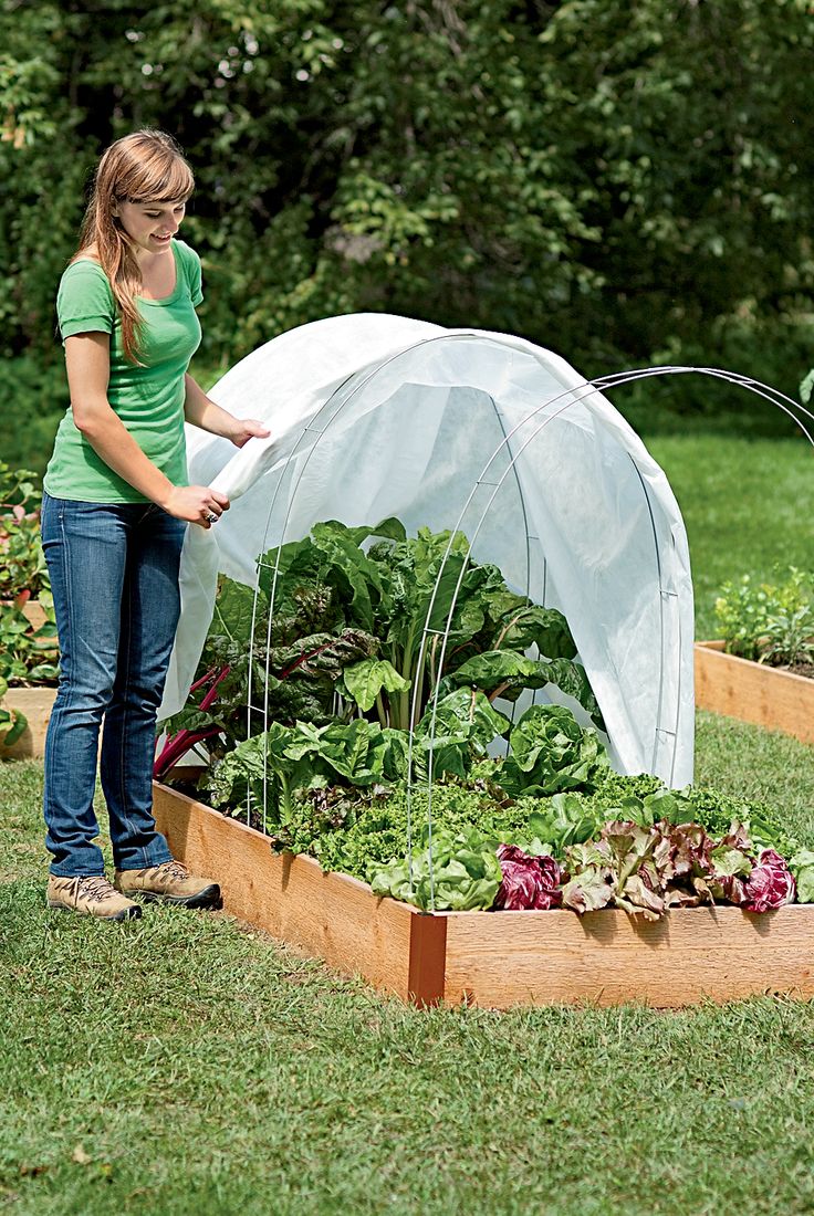You can make a mini greenhouse dome for about $6.How to start a winter vegetable garden – The Cheap Vegetable Gardener