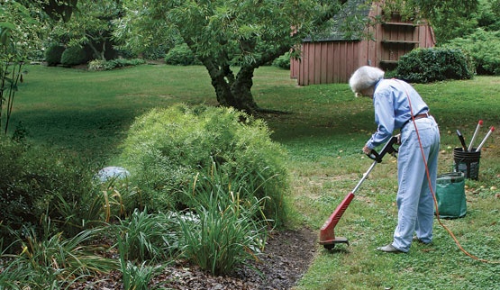How to Reduce Maintenance – Fine Gardening Article