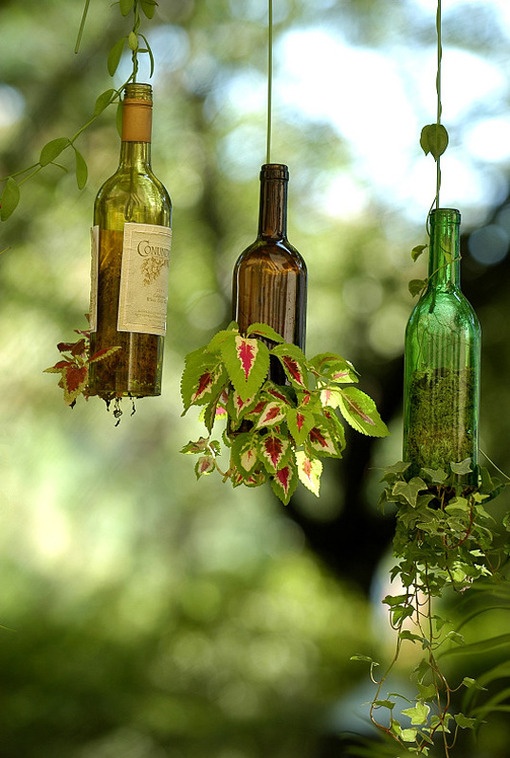 Wine bottle planters.