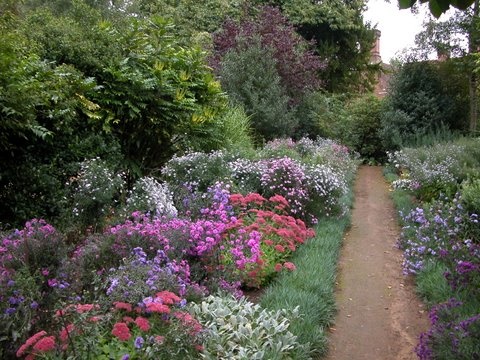 Munstead Wood perennial path.