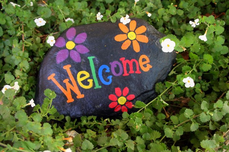Painted Rocks | painted the rock black waited for the paint to dry then painted the …
