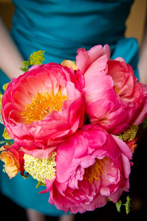 LESAPEA – burnettsboards: bright pink bouquet