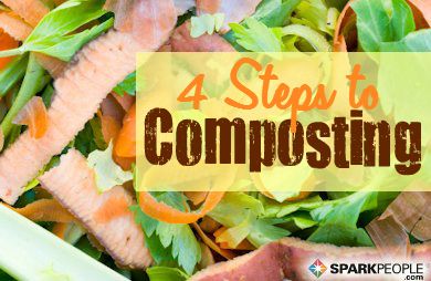 A Beginner’s Guide to Composting