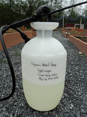 Weed killer:  1 gallon vinegar, 2 cups epsom salt, 1/4 cup dish soap