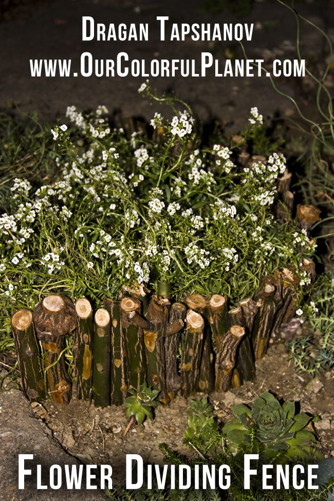 DIY – Flower dividing fence