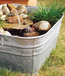 How to build a potted water garden in a steel tub – plus 5 types of plants to include