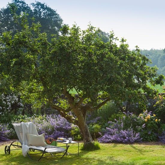 In spite of the note of formality, the owners have created a comfortable cottage garden, ably assisted by two venerable apple trees and a greengage tree from an earlier orchard on the site, all set against ancient flint and brick walls. The herbaceous border at the back of the garden billows with clouds of Nepata ‘Six Hills Giant’, ‘whacked in to give immediate results’.