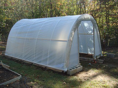 How to build My 50 Dollar Greenhouse