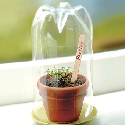 mini greenhouse
