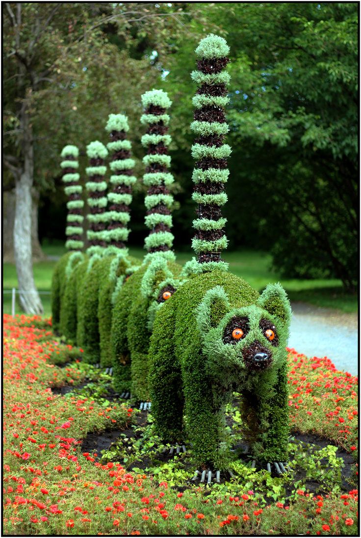 Mosaicultures 2013 – The lemur centipede