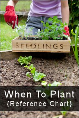 When to plant….