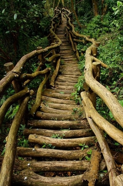 So beautiful. I wanna walk these