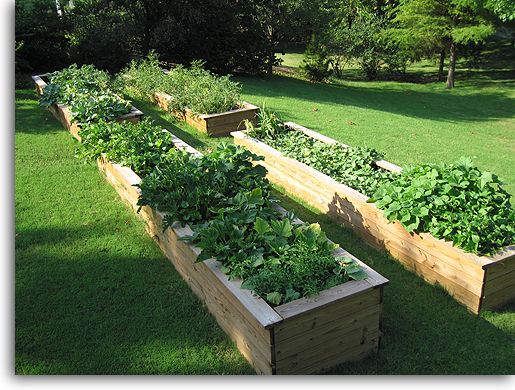 DIY $ 10 raised garden beds!