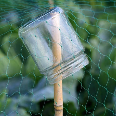 to hold up protective netting,,,small jar is great idea to prevent stake from going through