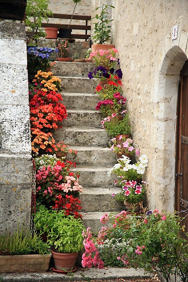potted plants lining the stairs