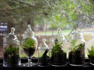 DIY Woodland Terrarium