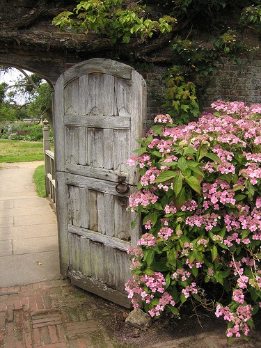 through the garden gate