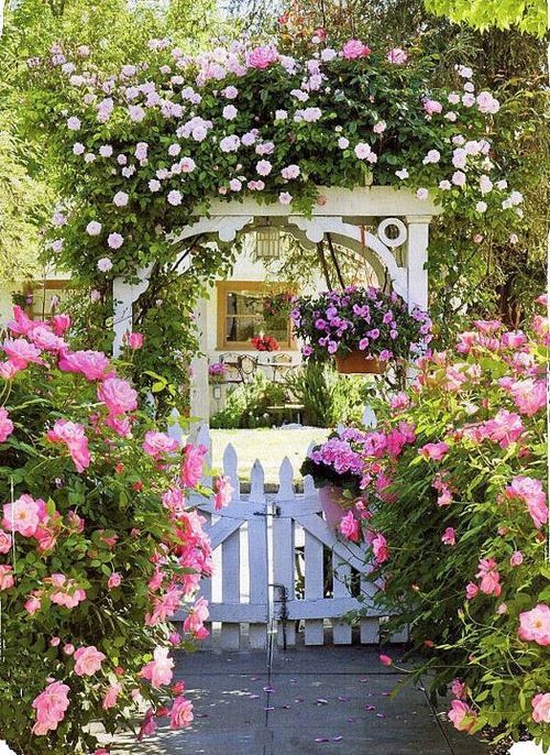 Love a rose garden.
