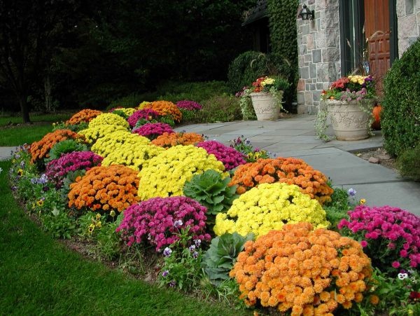 Garden Pathway Ideas for Fall