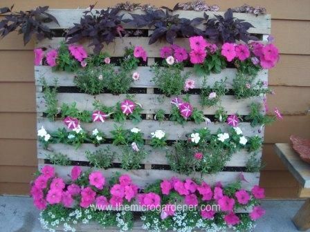 20 Creative Ways to Upcycle Pallets in Your Garden