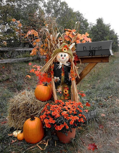 Fall