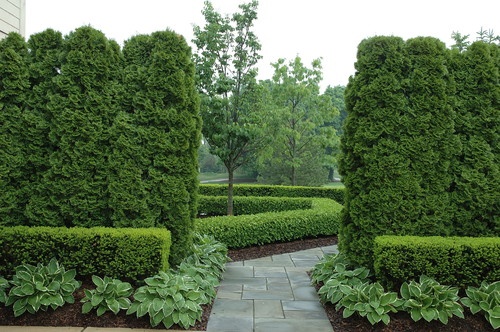 For longer front walks, try incorporating different layers of height. Multiple heights add depth to a landscape and tall shrubs can mimic the effect of a beautiful gate.  By Land Architects, Inc.