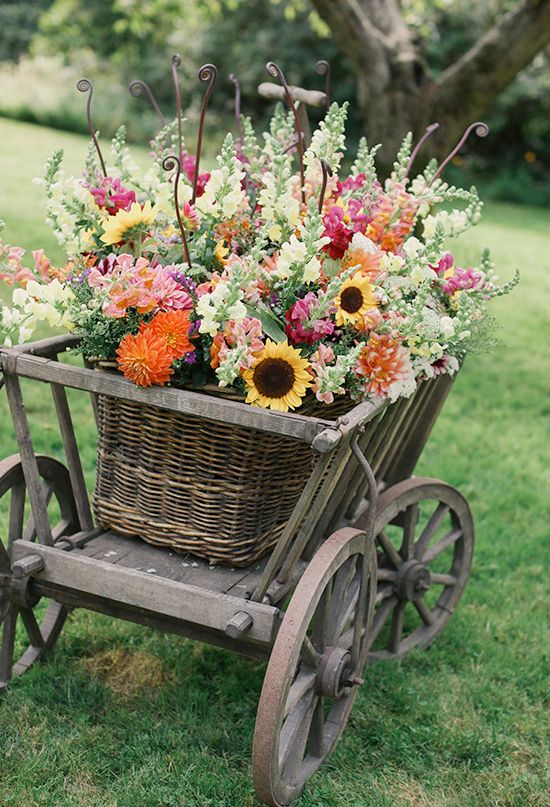 Goat Wagon Full Of Flowers