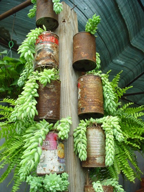 Love These Planters