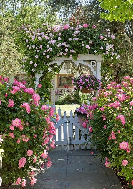 cottage garden