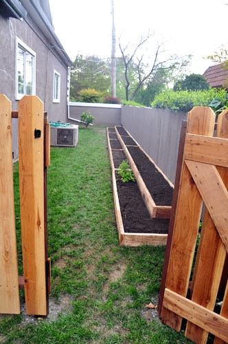 love these raised beds