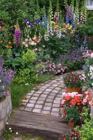 beautiful planting