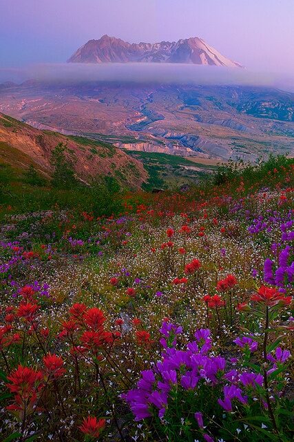 Mt St Helen, Washington