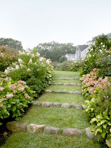 Do you have a path like this in your backyard?