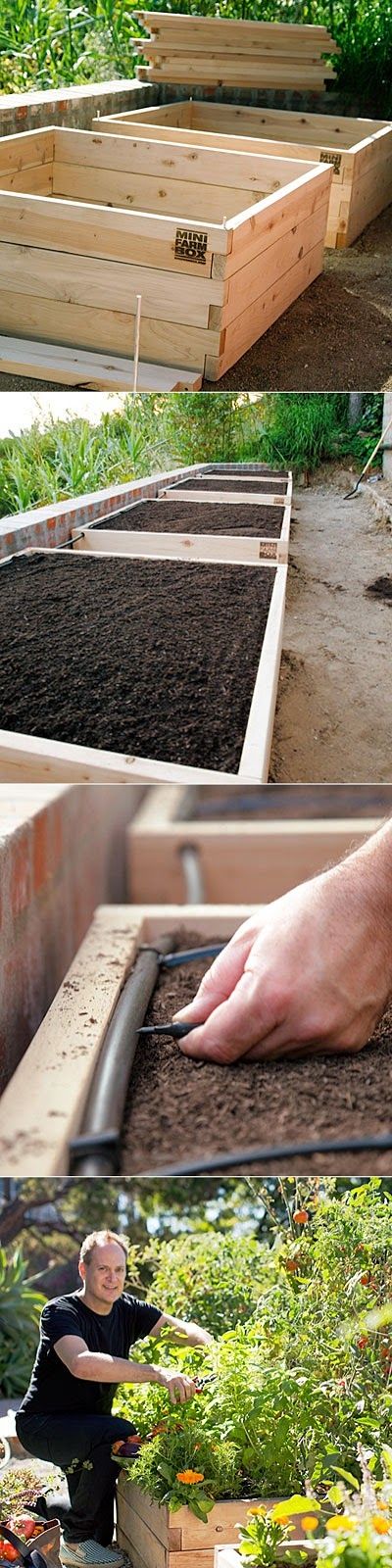Raised-bed vegetable garden | I really like the stagger-stack construction of the boxes. A very pleasing look without have do do a lot of difficult cutting. ($250 FOR JUST ONE on Amazon – BWAHAHAHA I can DIY 5 of them for that price…)