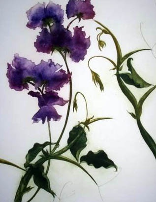 sweet peas