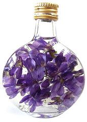 Homemade Essential Oils ~  Step by step instructions  for making homemade essential oils like Lavender, peppermint, lemon balm, marjoram