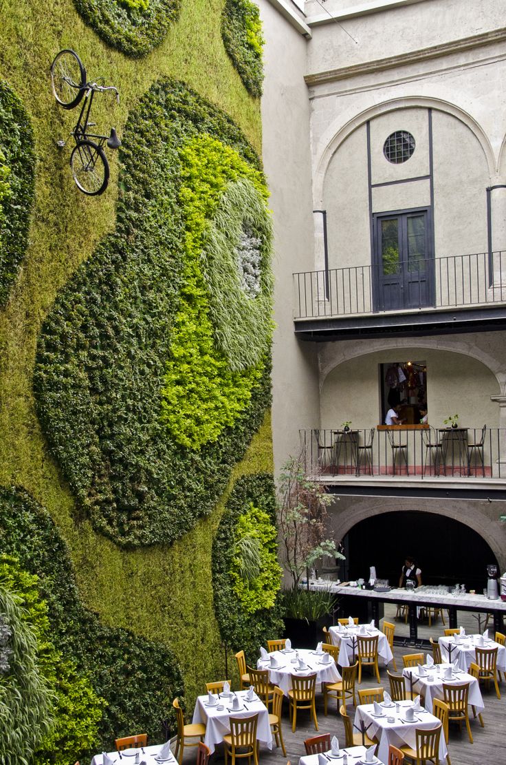 Green Wall- Mexico City